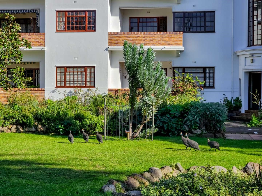 To Let 2 Bedroom Property for Rent in Rondebosch Western Cape